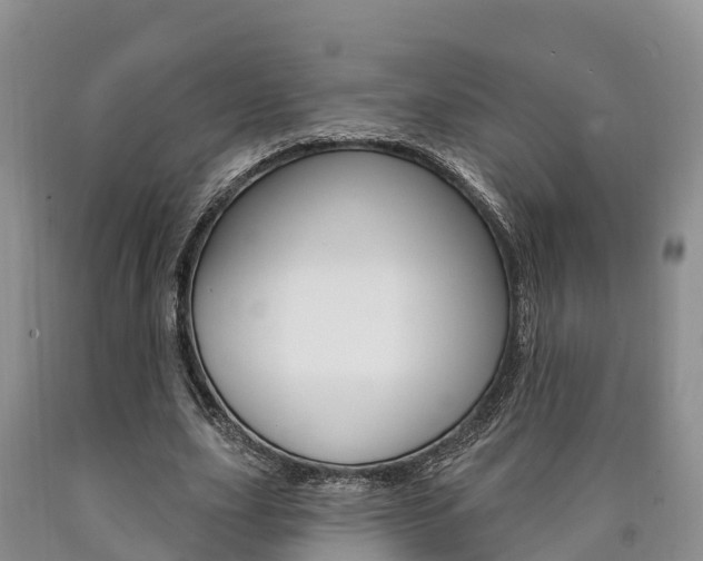 X0000090870631200707270955