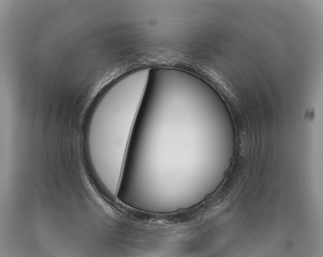 X0000090870634200707270955