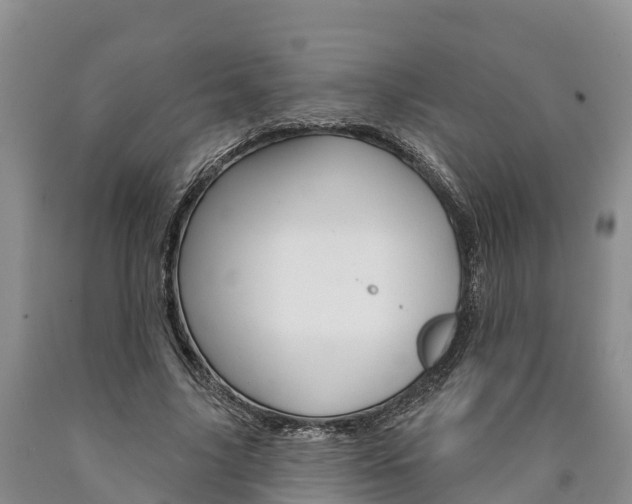 X0000090870635200707270955