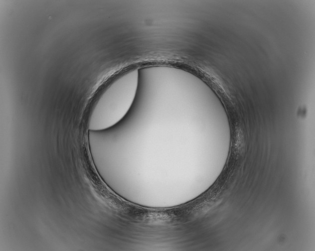 X0000090870636200707270955