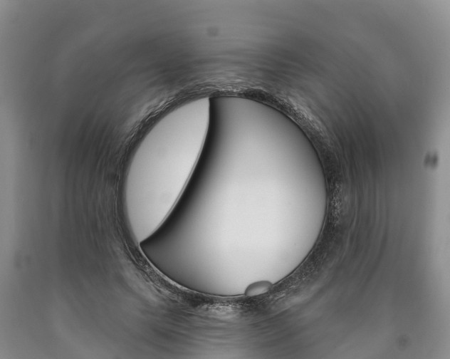 X0000090870639200707270955