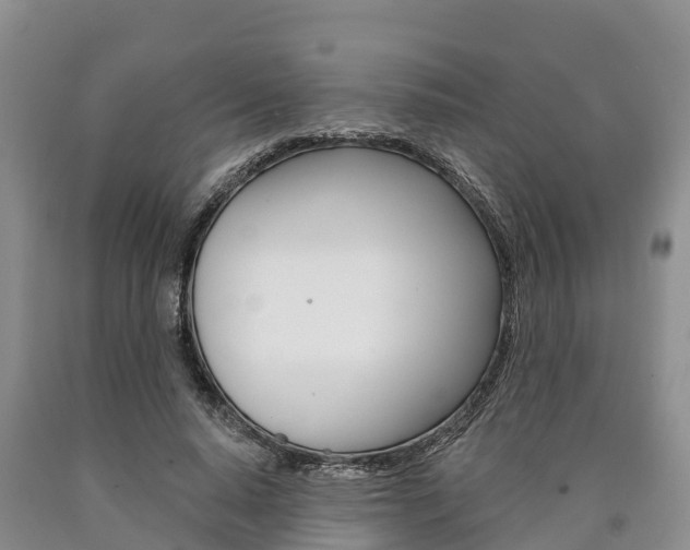 X0000090870640200707270956