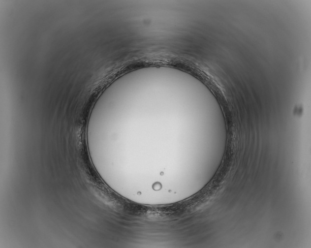 X0000090870641200707270956
