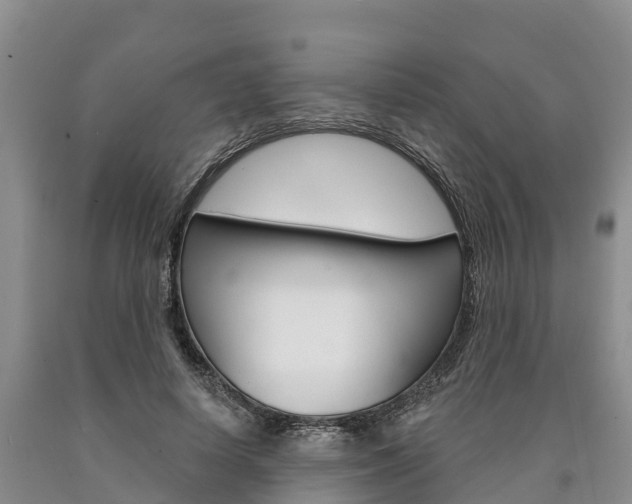 X0000090870642200707270956