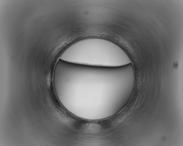 X0000090870644200707270956