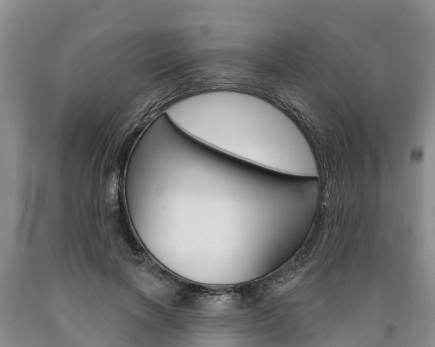 X0000090870646200707270956