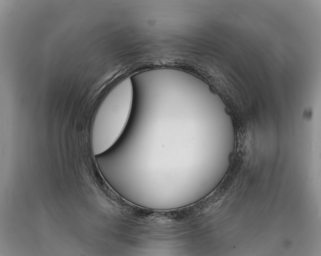 X0000090870648200707270956