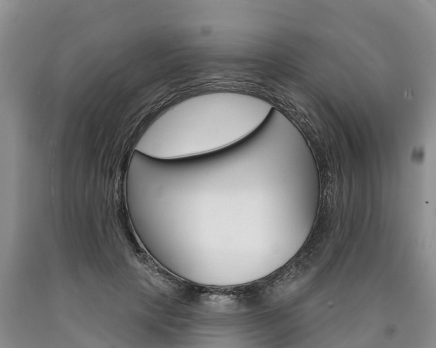 X0000090870649200707270956