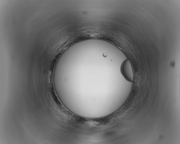 X0000090870650200707270956
