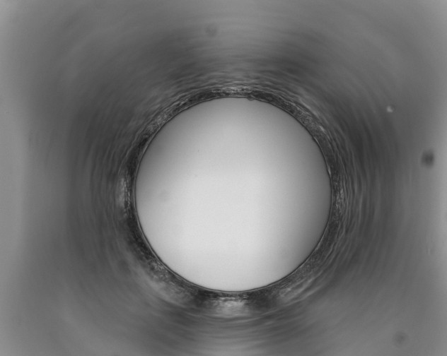 X0000090870651200707270956
