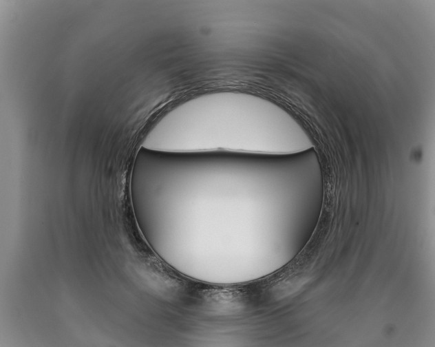 X0000090870652200707270956
