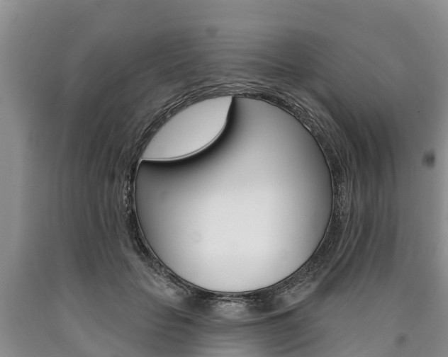 X0000090870653200707270956