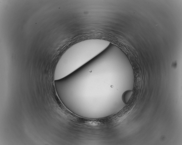 X0000090870654200707270956