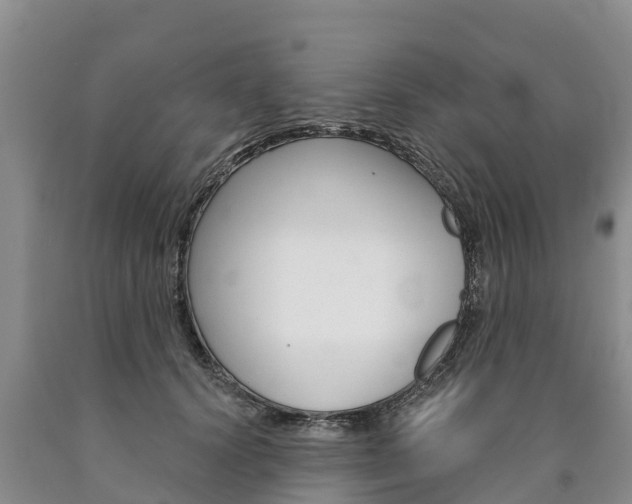 X0000090870656200707270956