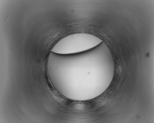 X0000090870658200707270956