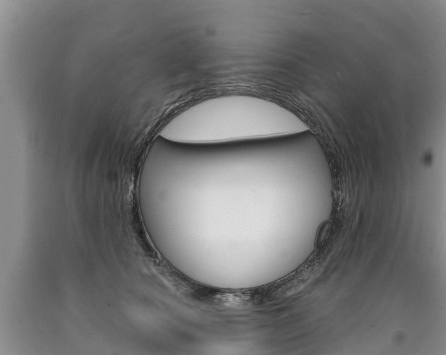 X0000090870660200707270956