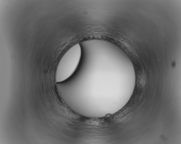 X0000090870661200707270956