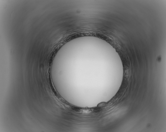 X0000090870662200707270956