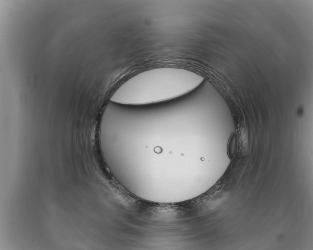 X0000090870668200707270956