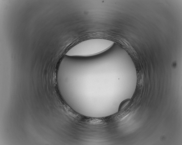 X0000090870669200707270956