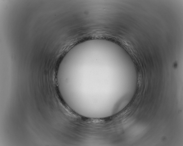 X0000090870670200707270956