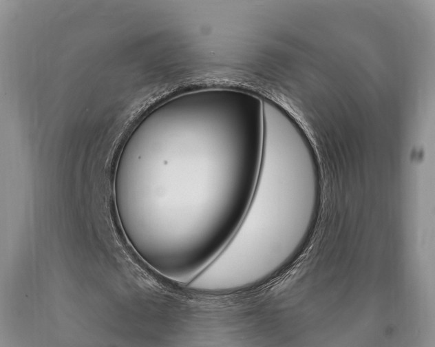 X0000090870673200707270955
