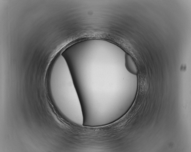 X0000090870674200707270955