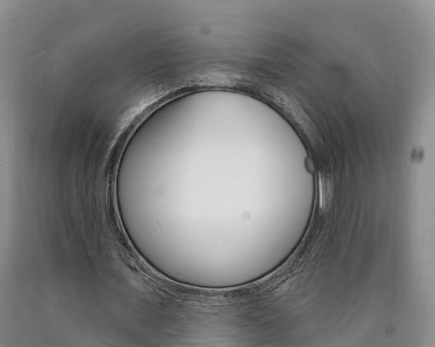 X0000090870675200707270955
