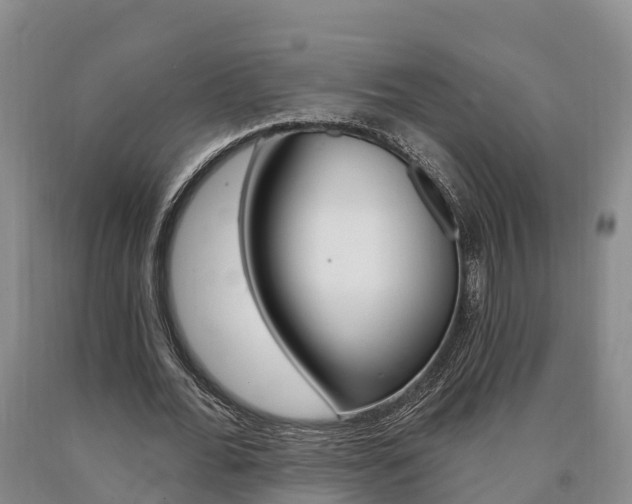 X0000090870676200707270955