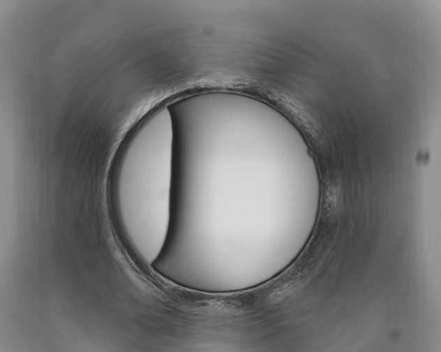 X0000090870678200707270955