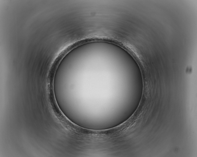 X0000090870680200707270955