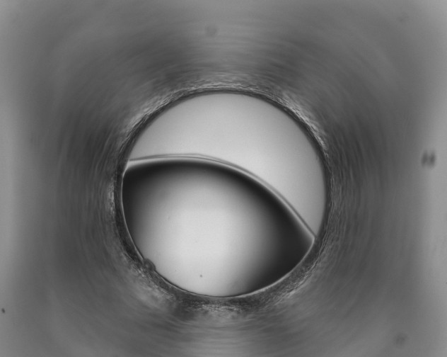X0000090870681200707270955