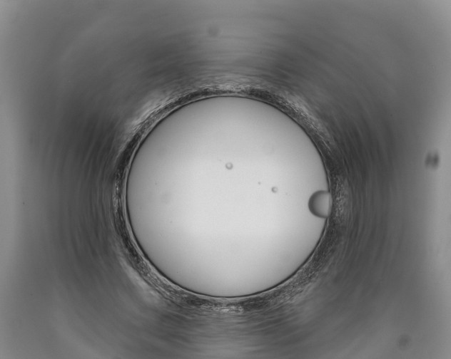 X0000090870683200707270955