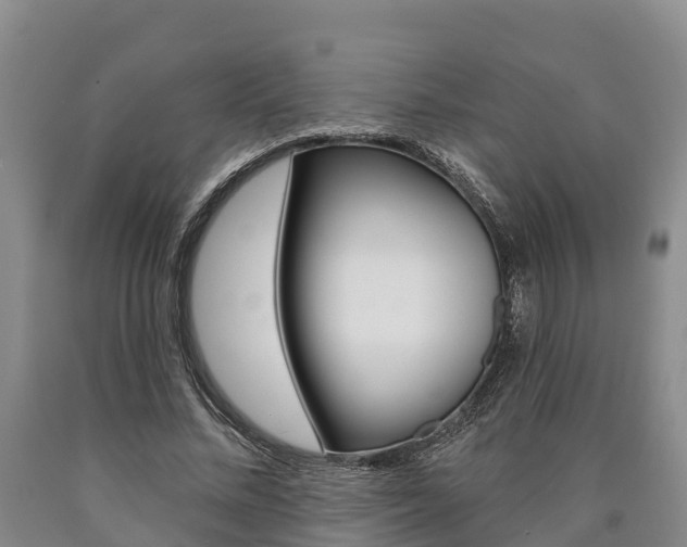 X0000090870684200707270955