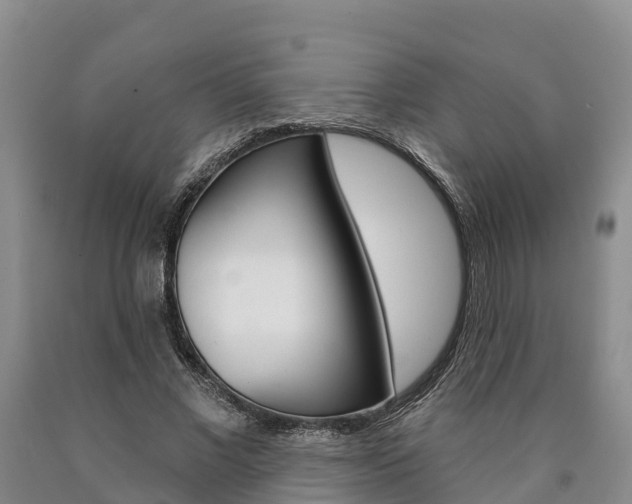 X0000090870685200707270955