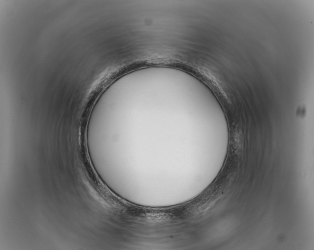 X0000090870686200707270955