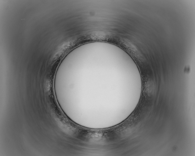 X0000090870687200707270955