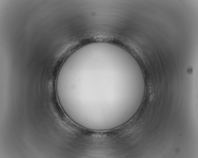 X0000090870690200707270955