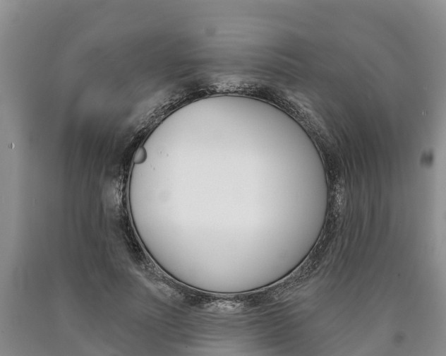 X0000090870691200707270955