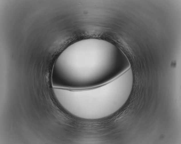 X0000090870693200707270955