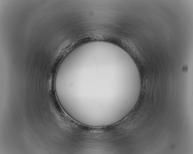 X0000090870694200707270955