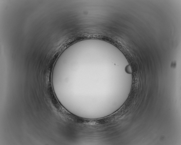 X0000090870695200707270955