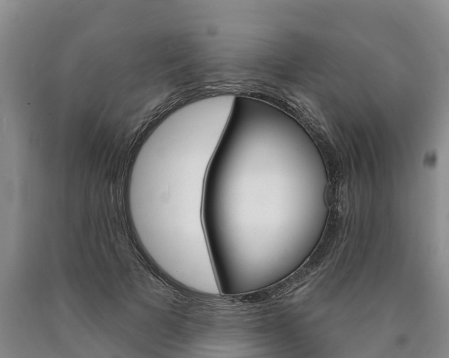 X0000090870697200707270955