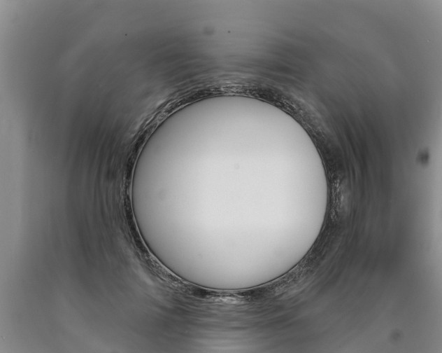 X0000090870698200707270955