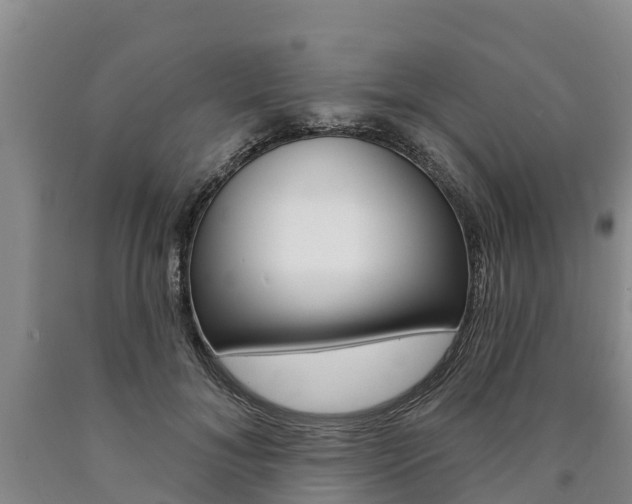 X0000090870700200707270955