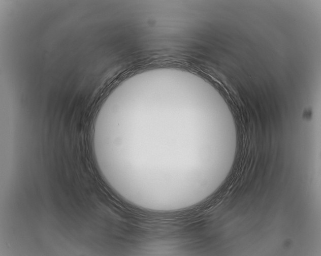 X0000090870701200707270955
