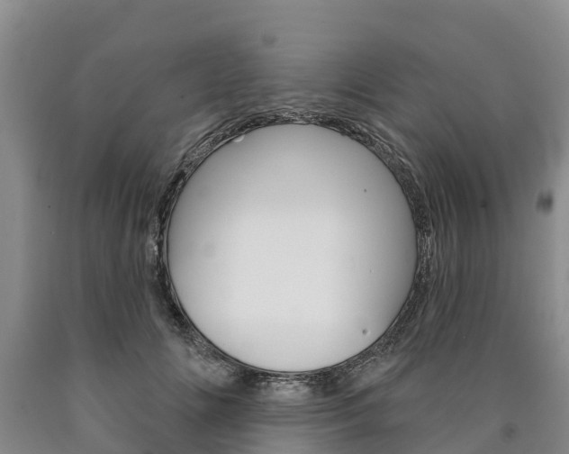 X0000090870702200707270955