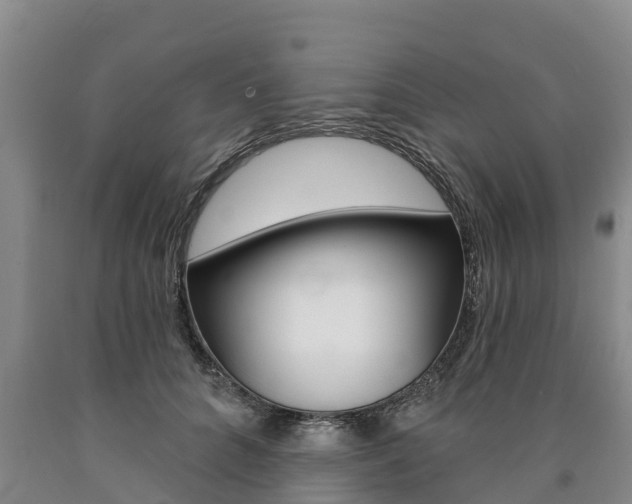 X0000090870704200707270955