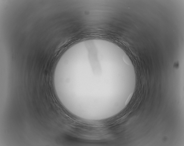 X0000090870705200707270955