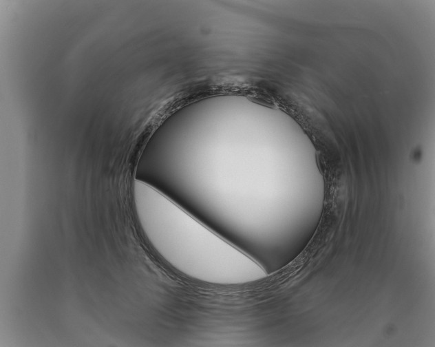 X0000090870708200707270955